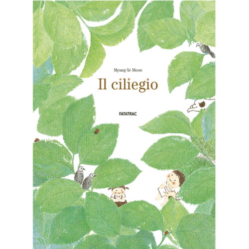 il-ciliegio