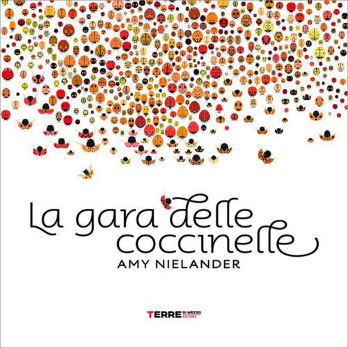 gara-delle-coccinelle